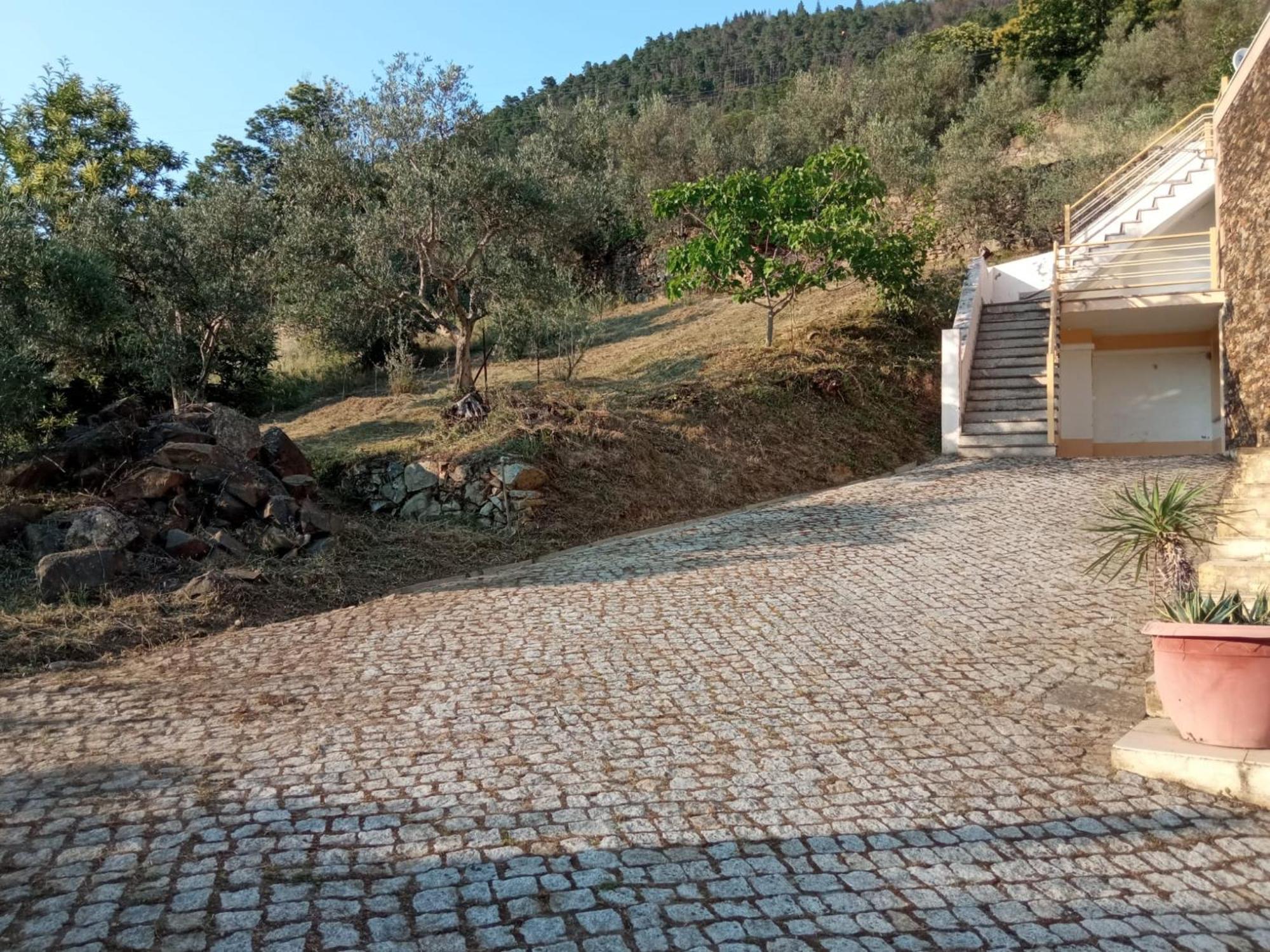 Casa das Oliveiras - Manteigas Exterior foto
